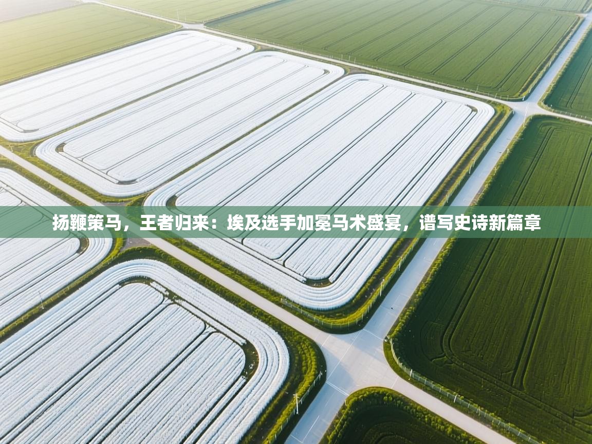 扬鞭策马，王者归来：埃及选手加冕马术盛宴，谱写史诗新篇章  第2张